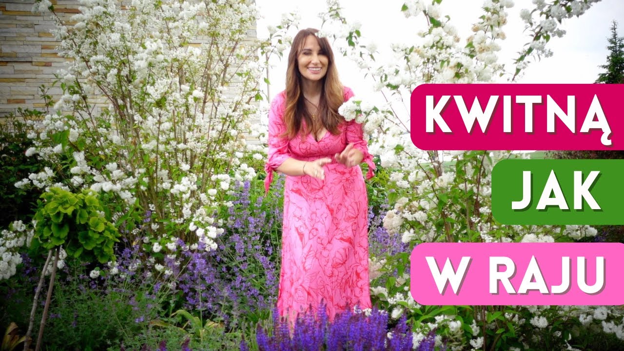 Początek lata w Ogrodzie - Wyjątkowe krzewy, które warto mieć