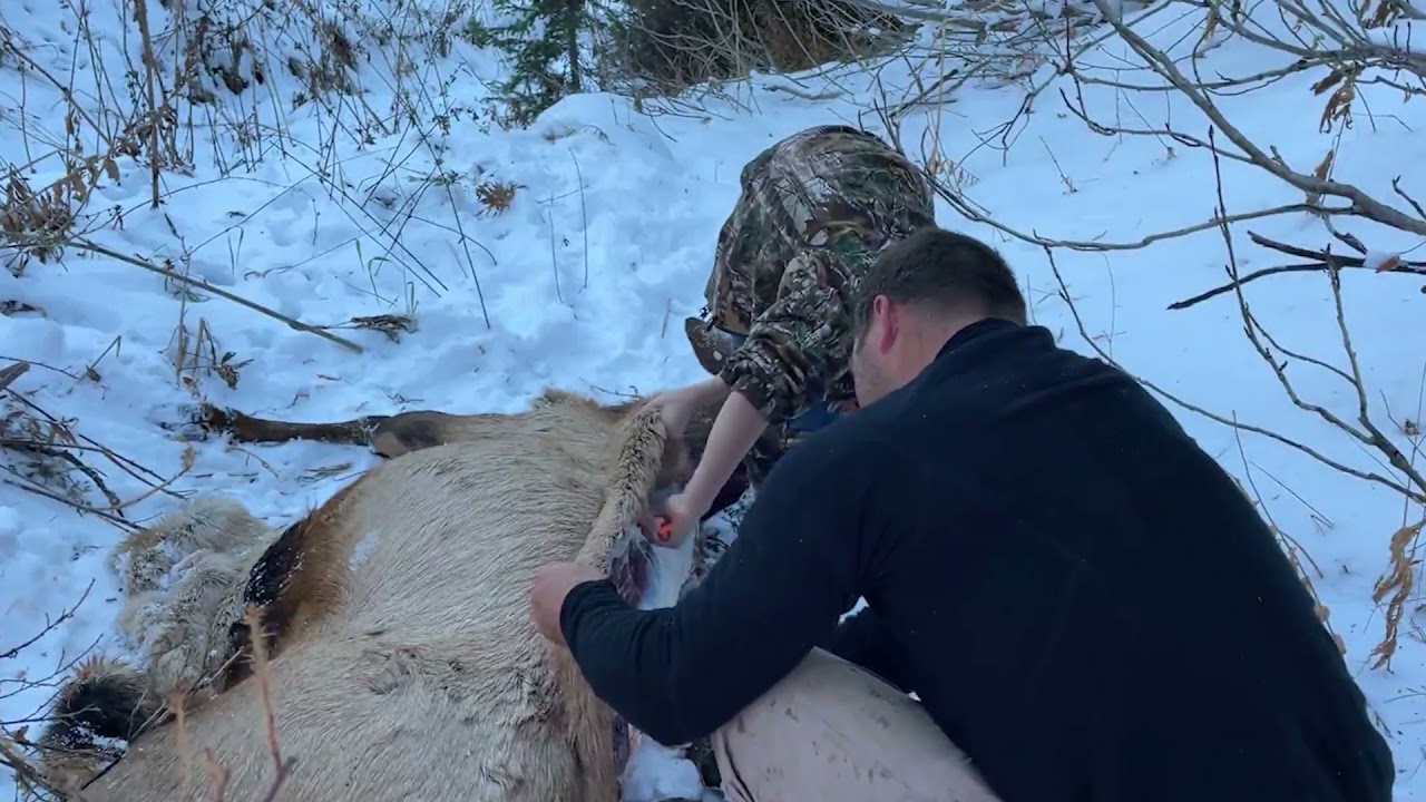 Recreational & Relaxing Family Hunting Trip in Tex Creek | VACA.video | Online Video Editing Service