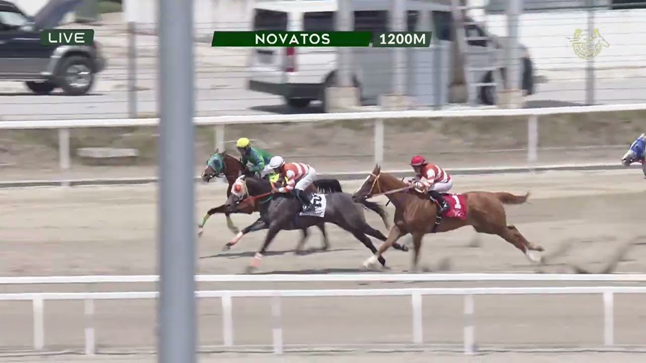 BT1 NOVATO 1200m FEB 28 2026