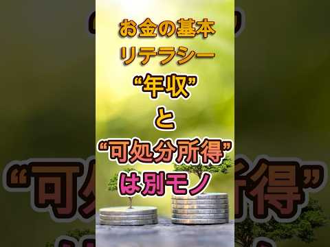 【お金の基本】“年収”と“可処分所得”は別モノ【リテラシー】
