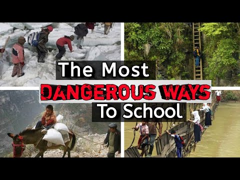 वीडियो: स्कूल यात्राएं