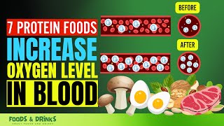 Foods That Increase Oxygen In Your Blood (7 Protein Foods Increase Blood Oxygen Level)