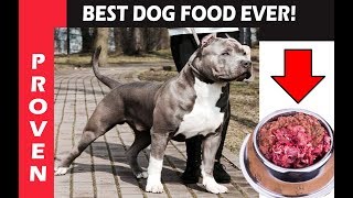 Best Dog Food Ever To Feed your Puppy. CREATE BIG DOGS!