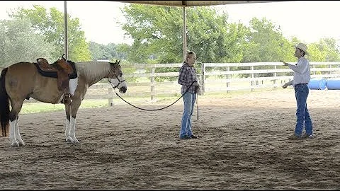 3 Minute Training Tip   Lesson With Belinda   Intr...