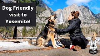 How Dog Friendly is Yosemite? | Yosemite Valley Tour | Female Solo Travel Vlog | Sponsored by Waggle