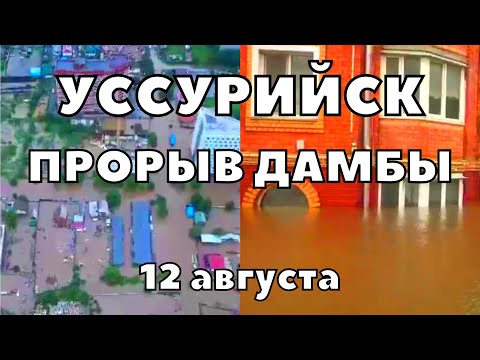 В Уссурийске прорвало дамбу затоплены первые три этажа домов идёт эвакуация жителей