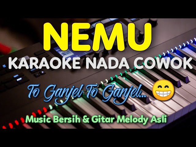 NEMU Karaoke Nada Cowok || Gilga Sahid || Koplo class=