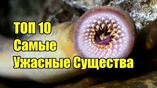 ТОП 10 Самые Ужасные Существа | ИНТЕРЕСНЫЕ ФАКТЫ