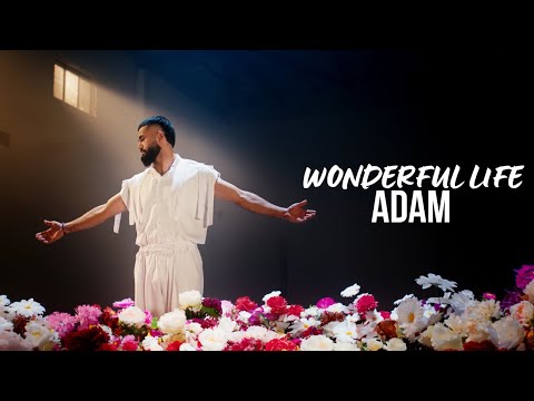 ADAM - Wonderful life  | Премьера песни (2024) #adam