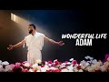 ADAM - Wonderful life  | Премьера песни (2024) #adam