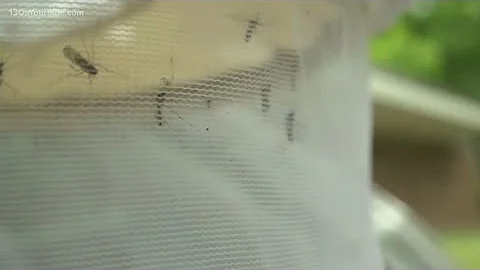 Aerial EEE spraying treatments started on Monday