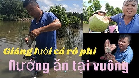 Buổi trưa đi giăng lưới cá rô phi nướng ăn tại vuông #cuocsongqueem