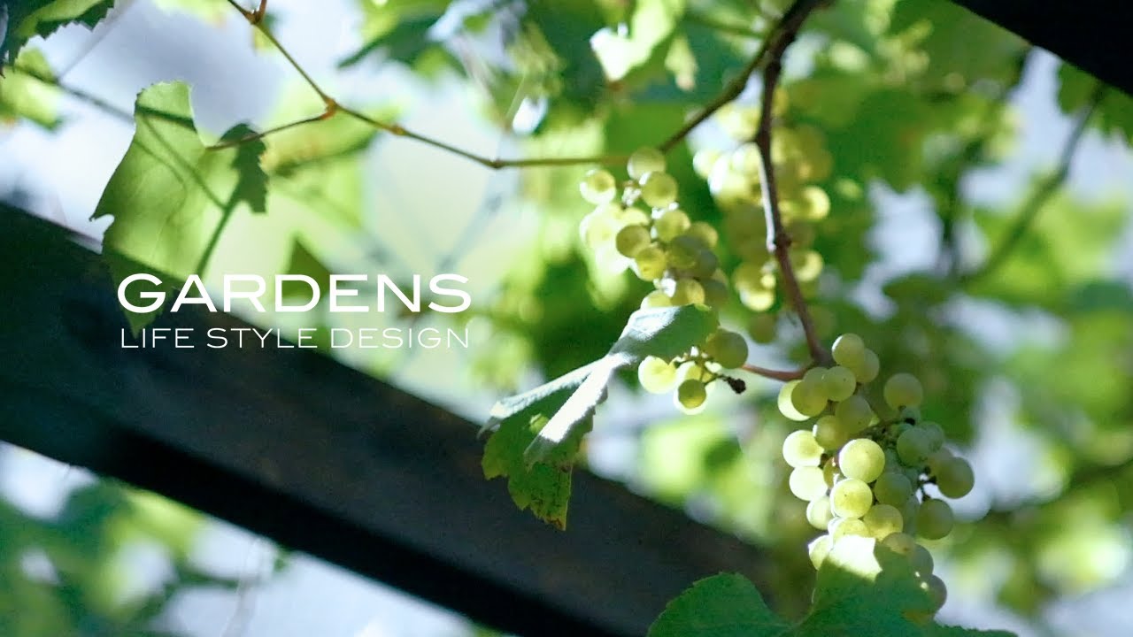 GARDENS |夏のガーデンズ・ツアー | グリーン&ホワイトの庭散歩