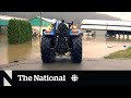 Heavy rain delays crops in B.C.'s Fraser Valley
