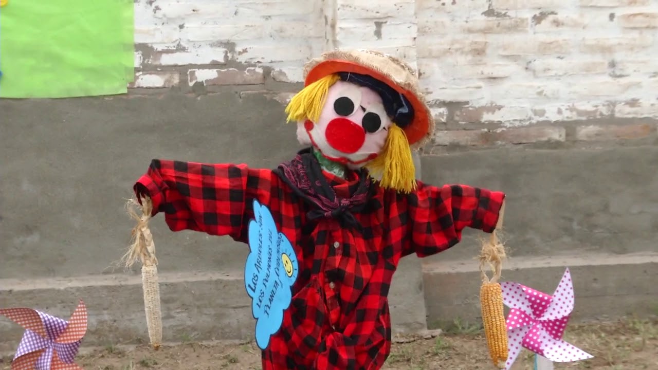 camera iphone 8 plus apk Conciencia ambiental en jardines de infantes municipales