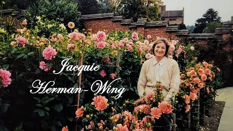 Jacquie Herman-Wing
