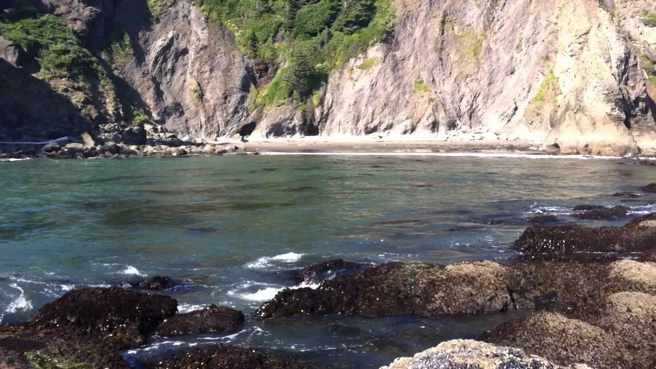 2nd Beach at La Push, WA.