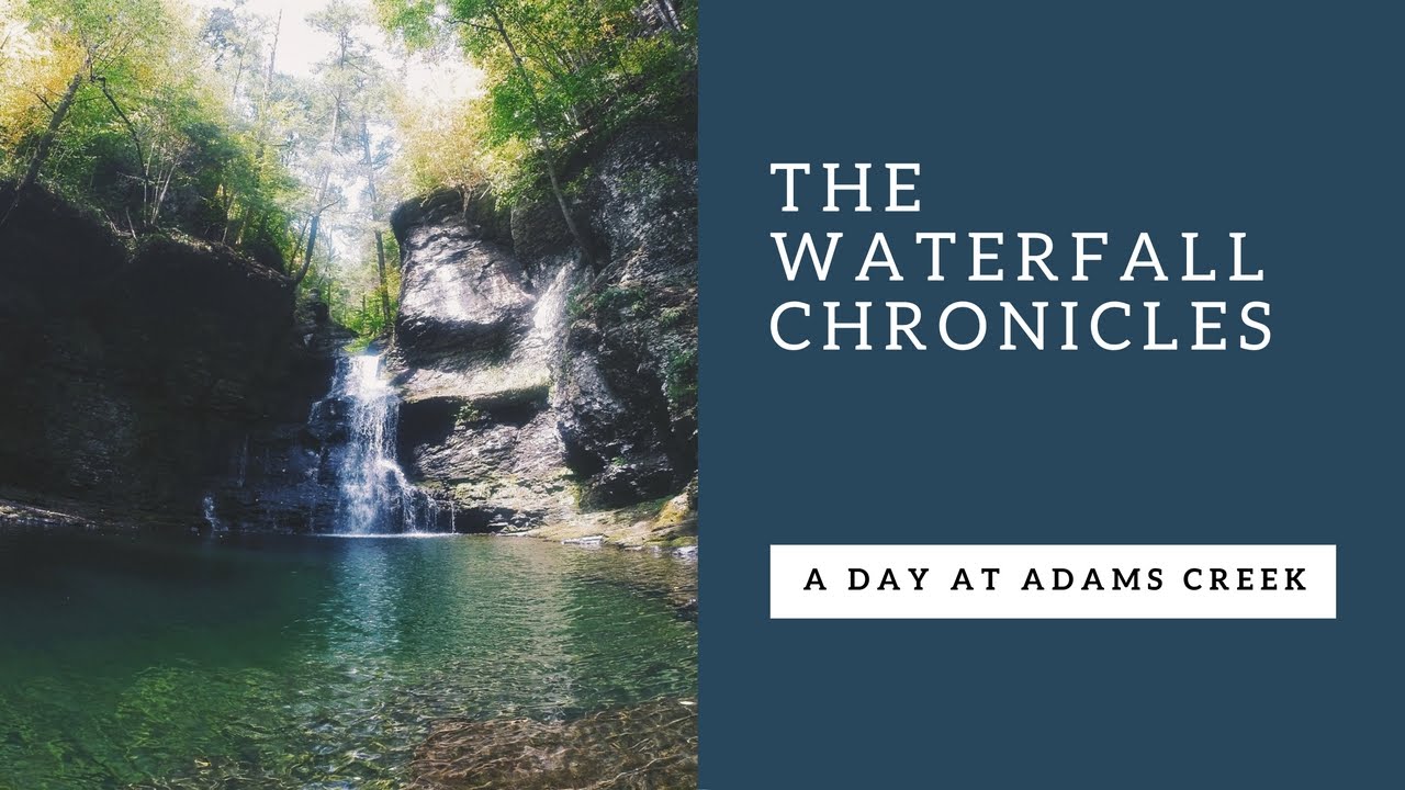 The Waterfall Chronicles: A Day at Adams Creek