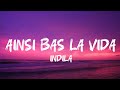 Indila - Ainsi Bas La Vida(lyrics)