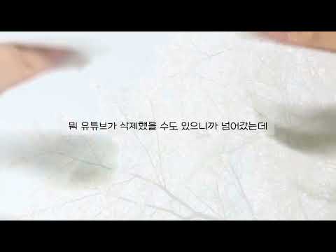 계나 당발 안하고 튀신 여주 님 공론화 액괴 시리즈 액괴 시액 공론화 시액