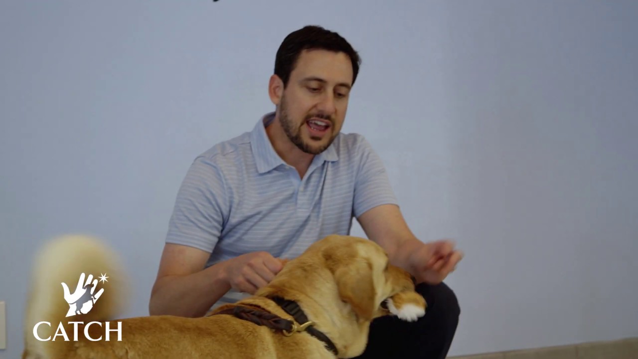 CATCH Trainer's Take: Getting To Know A New Dog