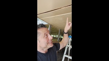 Can a snake get to your second story?... and why be nice to rednecks