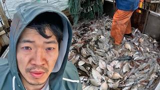 Commercial Draggers: An Honest Look at the American Squid Fishery