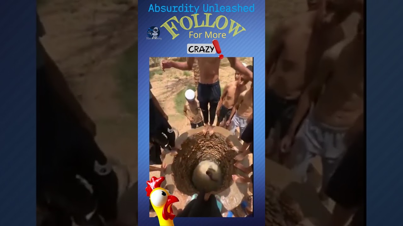 Absurdity Unleashed 172 