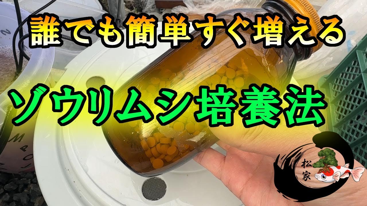 ゾウリムシ飼育繁殖 ケースセット Amazon.co.jp: ゾウリムシ培養セット (30ml×2本+餌 10錠+説明書付き