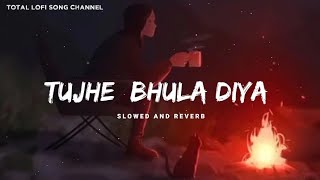 Har Pal Har Lamha Main Kaise Sehta Hoon - Lofi | Tujhe Bhula Diya | Mohit Chauhan | Total Lofi Song