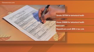 VA General Assembly passes halfway mark, state budget discussed