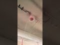 #funny