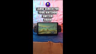 Larger Screen For Your Switch orion shorts