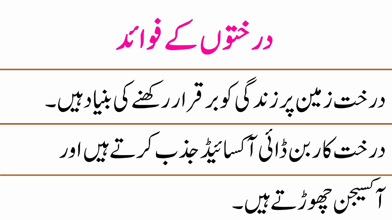 10-lines-on-benefits-of-planting-trees-in-urdu-benefits-of-planting