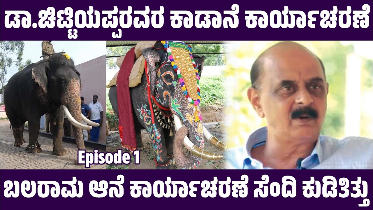 ಡಾ.ಚಿಟ್ಟಿಯಪ್ಪರವರ ಕಾಡಾನೆ ಕಾರ್ಯಾಚರಣೆ. ಬಲರಾಮ ಆನೆ ಕಾರ್ಯಾಚರಣೆ,  ಸೆಂದಿ ಕುಡಿತಿತ್ತು. || Paaregadde Studio ||