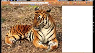 Adding Images to ThingLink