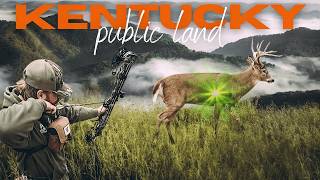 Public Land Bowhunting in Kentucky Chasing Big Bucks My First Bow Kill