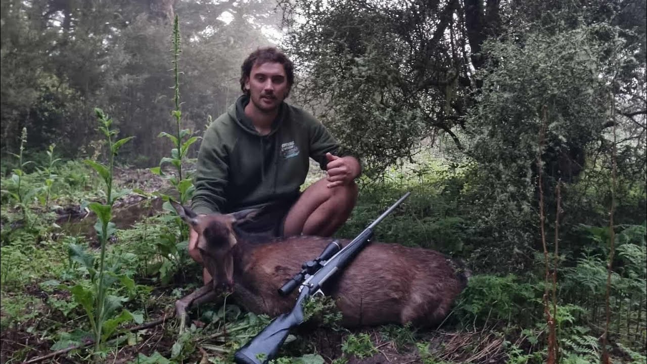 Sika hunting mission, Opening morning Trout fishing ! 