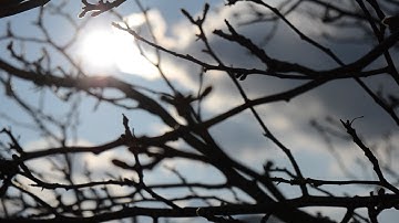 Testing out DIY ND Filter for FPV Drone Camera