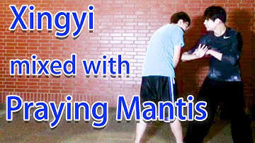 Xingyiquan mixed with Eight-Step Praying Mantis Kung Fu Training/Leon Chu (朱思勳)[形意拳及八步螳螂拳混合訓練]