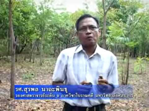 เล่าเรื่องเมืองละโว้ 04-02-53
