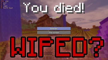 This GLITCH Almost Cost me my ENTIRE PROFILE... | Hypixel Skyblock Stream Highlights