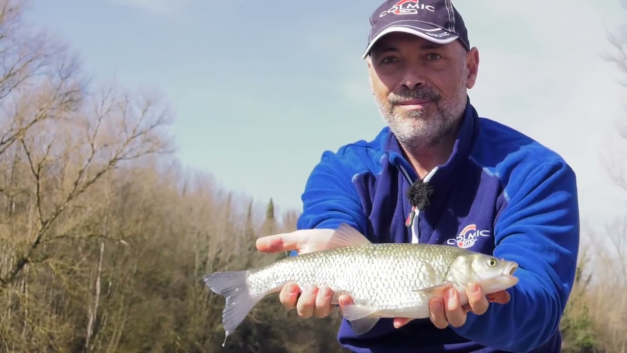 La PESCA dei CAVEDANI ad UMBERTIDE con le canne Colmic