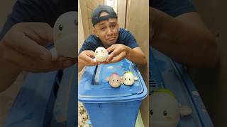 squid games #shorts #funny #trending #subscribe
