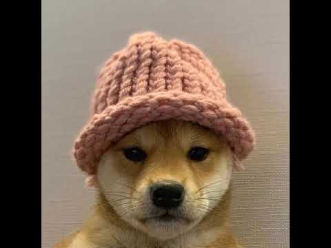 SUB X SUB