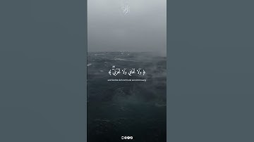 وَأَوْحَيْنَا إِلَىٰ أُمِّ مُوسَىٰ، سورة القصص بصوت القارئ ياسر الدوسري #سبحان_الله #ياسر