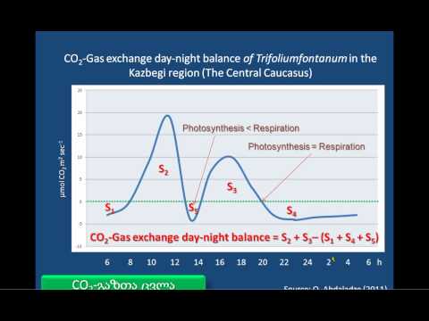 ალპურ მცენარეთა ფუნქციური ეკოლოგია
