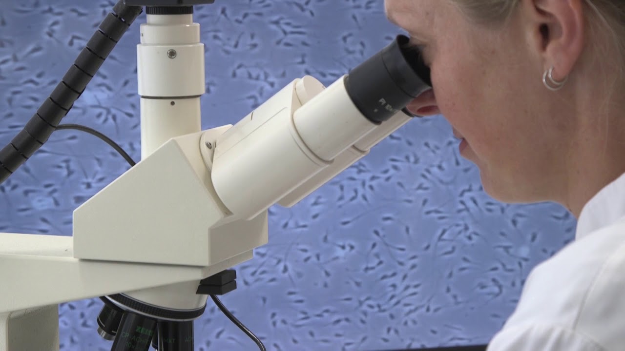 IFAJ 2020 in Denmark -  july 18 english version