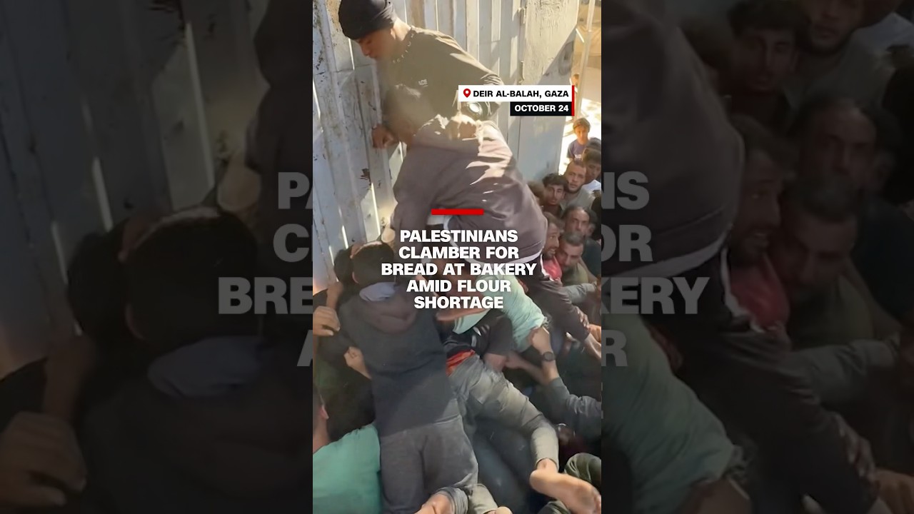 Palestinians clamber for bread at bakery amid flour shortage