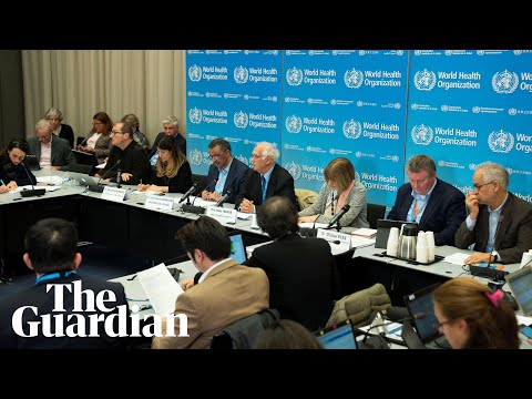 experts-hold-news-conference-on-coronavirus-at-united-nations---watch-live